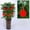 C, variant on New Year Decoration Set Spring Festival Chinese Knot Decoration Fortune New Year Family Restaurant Family Car Tree Spring Festival Decoration