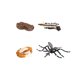 thumbnail image 1 of Ciclo de crecimiento animal Juguete Plástico Simulado Ciclo de vida para niños Conjunto Kit de herramientas educativas para niños, Animal 13 Inevent FN000175-13, 1 of 7