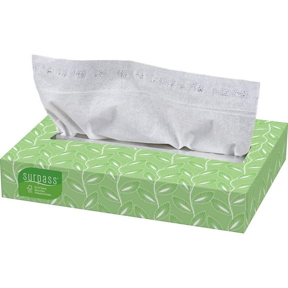 8 in. x 8.3 in Facial Tissue 2-Ply (100 Sheets per Box)
