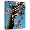 thumbnail image 1 of Erin Berzel 28x40 Gallery Wrapped Canvas Wall Art Titled - Cherry Blossom III, 1 of 4