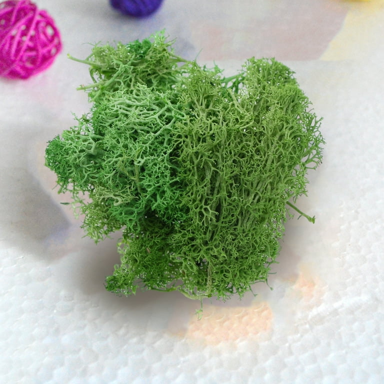 Fairnull 1 Bag Simulation Moss Vibrant Realistic Doll House Artificial Moss  Green Plants for Miniature Scenes DIY Projects 