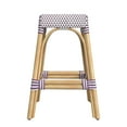 thumbnail image 2 of Butler Specialty Company Robias Rattan 24.5" Counter Stool - White & Purple Dot, 2 of 6