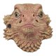 thumbnail image 1 of Lovely Lizard Animal Headgear Halloween Bar Decoration1pcsbrown, 1 of 5