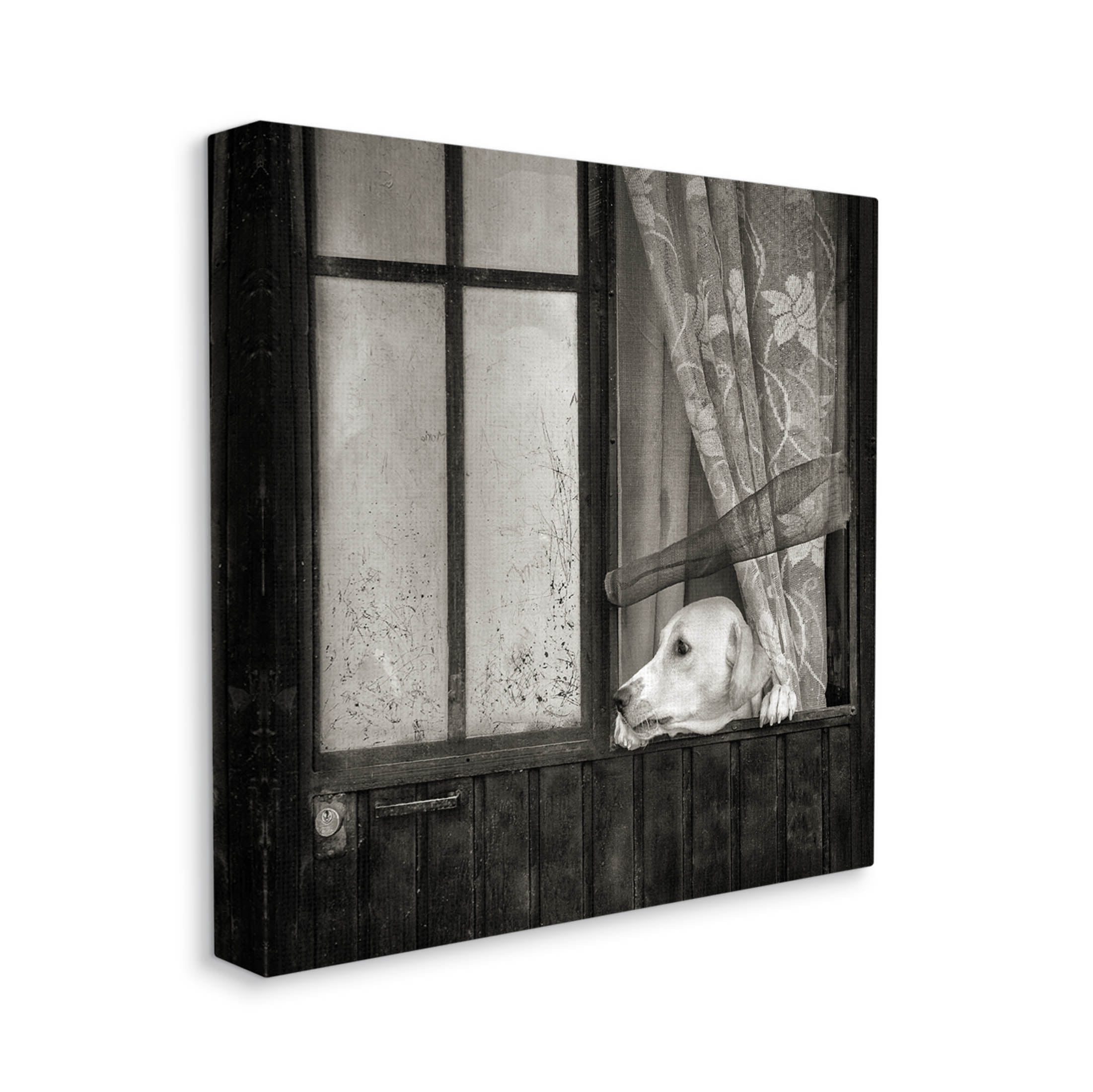 Stupell Industries Labrador Dog Farmhouse Barn Door Photograph Gallery Wrapped Canvas Print Wall Art, Design by David Lorenz