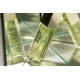 thumbnail image 4 of Perfume ALYSSA ASHLEY Ashley Ashley Alyssa Musk Eau De Toilette 100 ml, 4 of 8