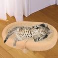 thumbnail image 1 of Rascador Para Gatos Fernando Tablero Rascador Sisal 61 cm x 41 cm x 9 cm, 1 of 8