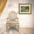 thumbnail image 3 of Popcorn 24x19 Gold Ornate Wood Framed with Double Matting Museum Art Print Titled - Wildflower V, 3 of 4