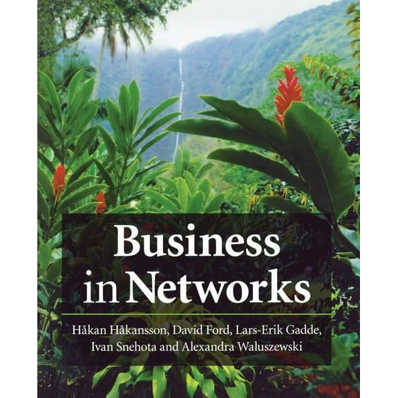 Business in Networks, (Paperback)