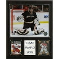 thumbnail image 1 of NHL Cam Ward Carolina Hurricanes Player Plaque, 1 of 1