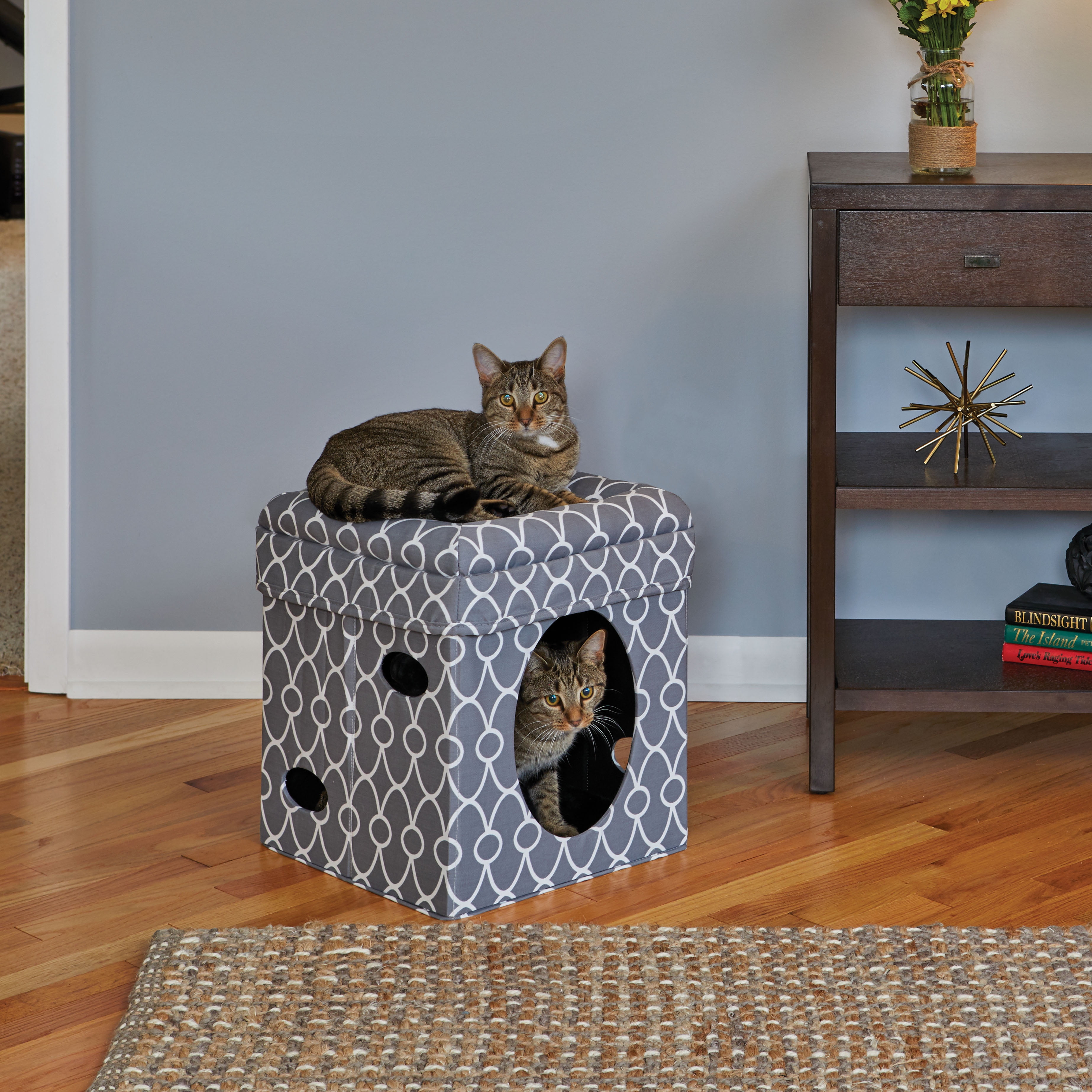 Cube cats. Домик Midwest curious. Домик куб для котов. Матерчатый куб для кошки. Домик для кошек дружок куб.