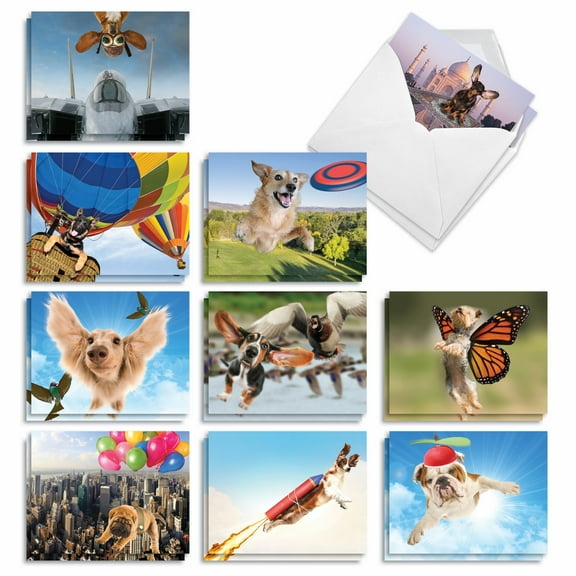 20 Blank All Occasion Cards Assorted (10 Designs, 2 Each) - The Flying K9 All Occasion (4" x 5.12") AM6448OCB-B2x10