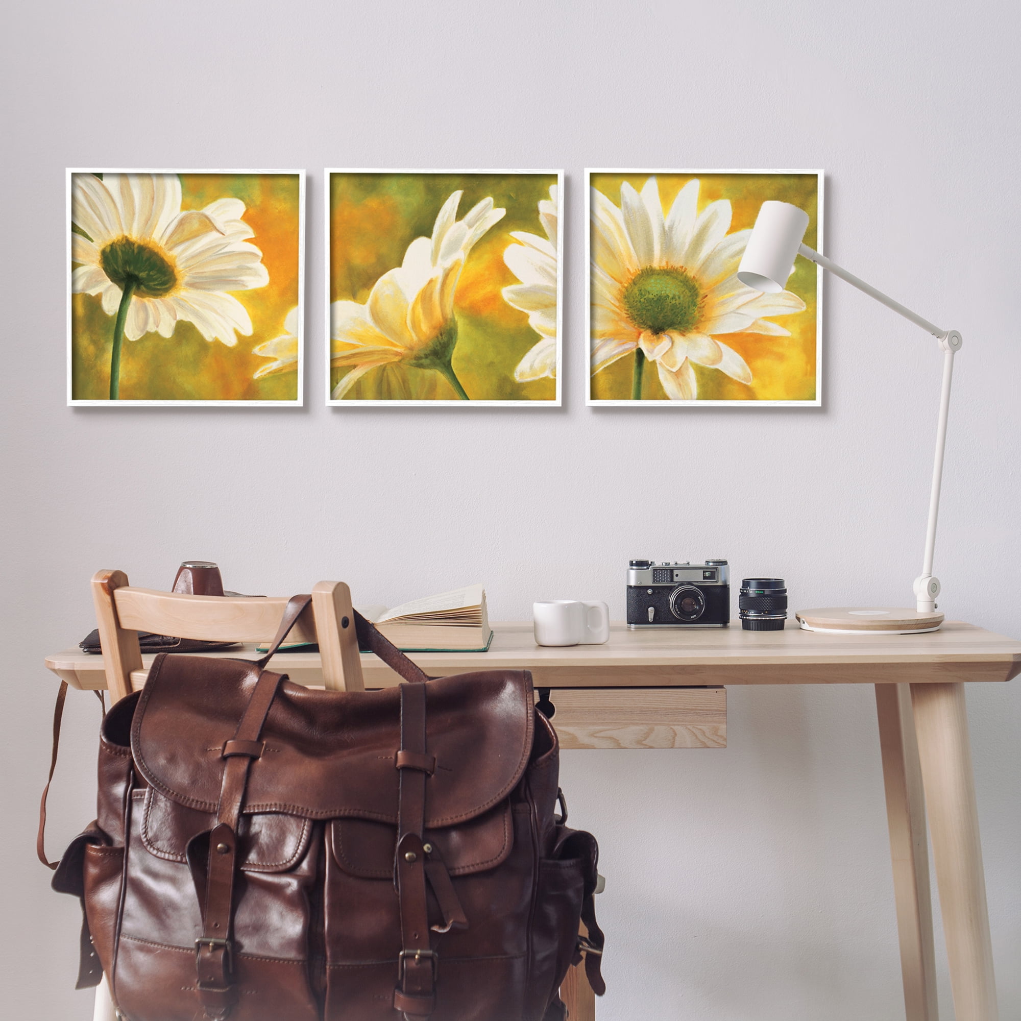 Stupell Blooming Wild Daisies Field Botanical & Floral Painting White Framed Art Print Wall Art, Set of 3