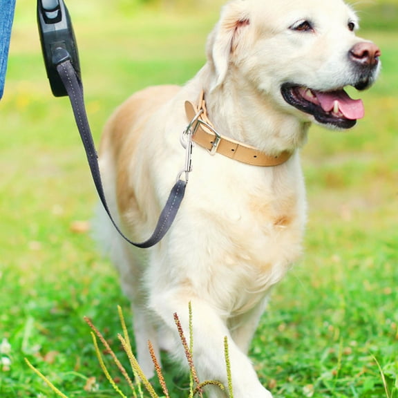 IBASETOY 6pcs Dog Leash Clip Hooks Swivel Snap Fasteners for Dual Clip Leash Pet Chain Buckle Versatile Snap