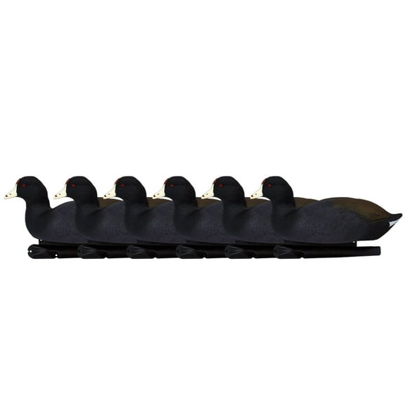 Avian X Top Flight Coot avec Schéma de Peinture Ultra Réaliste pour la Chasse, Lot de 6