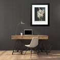 thumbnail image 4 of Robert John Thornton 19x24 Black Modern Framed Museum Art Print Titled - The White Lily, with Varigated-Leaves. (1799-1807), 4 of 5