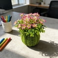 thumbnail image 4 of BotaniNest Indoor Outdoor Desktop Greenery For Home, 4 of 5
