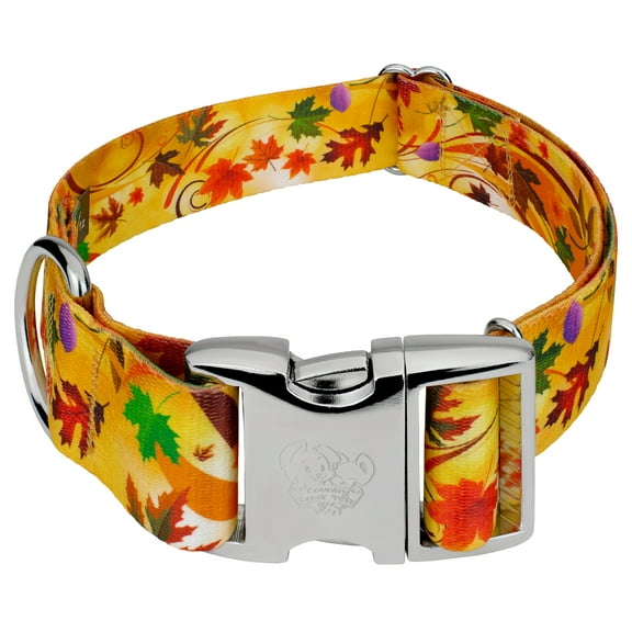 Country Brook Petz® 1 1/2 inch Premium Autumn Wind Dog Collar, Medium