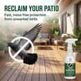 thumbnail image 4 of Donaldson Farms Bird Repellent Spray – Outdoor Formula to Keep Birds Away – Pigeon, Woodpecker, Sparrow, Duck & Goose Deterrent – Efficient Bird Spray for Roofs, Yards, Patios, Balconies, Homes, 4 of 8