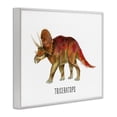 thumbnail image 3 of Stupell Industries Cottage Triceratops Dinosaur Learning White Framed Giclee Art, 20 x 16, by Brett Blumenthal, 3 of 8