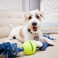 thumbnail image 2 of Mammoth Flossy Chews Cottonblend Denim 3 Knot Tug with 3" Ball Rope Dog Toy, Medium, 20", 2 of 6