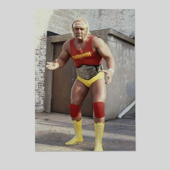 Hulk Hogan championship belt 1980s 5 2025 Size 24''x36'' - Gategoo