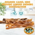 thumbnail image 6 of Pack Approved Braided Camel Hide Dental Treats for Dogs, 0.34 Pound (10 Pack), 6 of 8