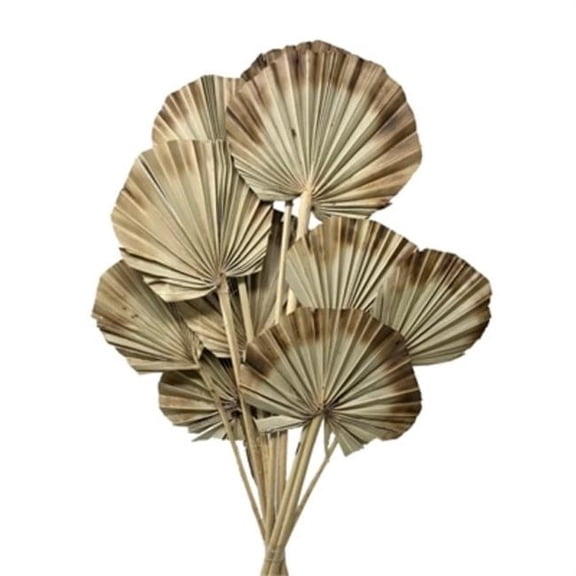 Metrotex Designs 41318 20 in. Palm Round Stems, Burnt Tips - 10 Piece