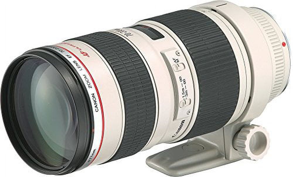 Canon EF 24-70mm F2.8L II USM Zoom Lens - Walmart.com