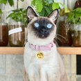 thumbnail image 3 of Personalized Pet ID Tags, Customizable Stainless Steel Dog and Cat Tags with Multiple Designs, Pet ID Name Dog Tags, Cat Collar Accessories Gifts for Pet Lovers, 3 of 8