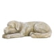 thumbnail image 2 of Lápida Conmemorativa ANGGREK, para Mascotas, resina, Exteriores, grabado, Gatos y perros, para césped, jardín, 2 of 8