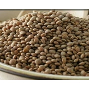DRIED LENTILS Bean 6 LBs PANTRY DINER KITCHEN