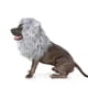 thumbnail image 2 of Peluca con melena de león para perros Onmygogo, talla M, gris, 2 of 6