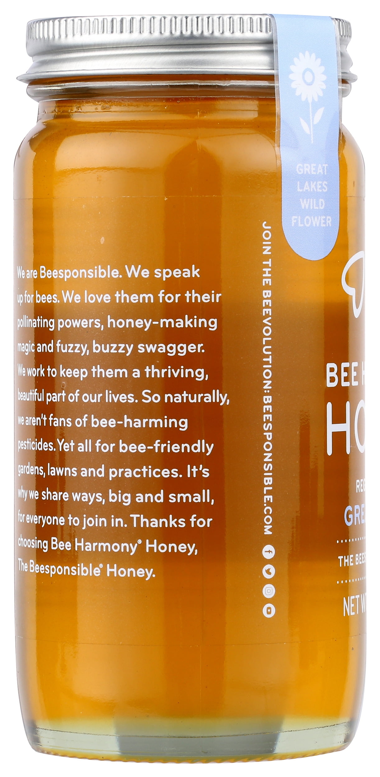 (Pack of 6), Bee Harmony Regional Raw Great Lakes Honey, 12 oz