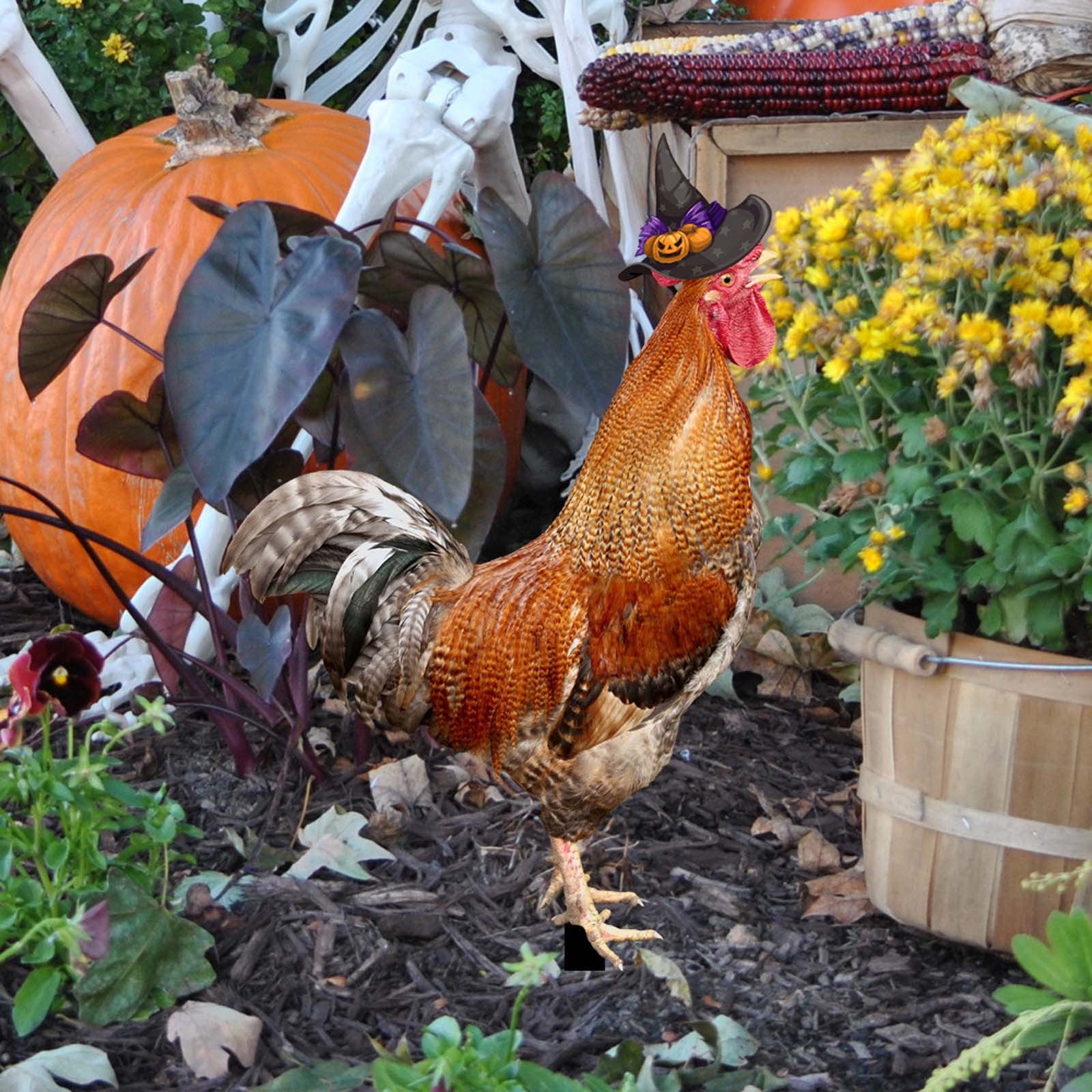 Statues De Poulet En Acrylique Pour Extérieur - Lot De 2 (A Et B), Résistantes Aux Intempéries - Décoration Jardin, Cour, Balcon