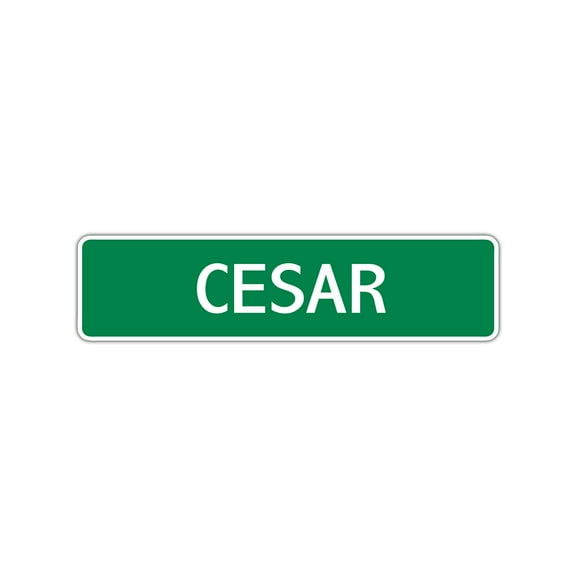 Cesar Boys Children Name Letter Printed Label Indoor Outdoor Novelty Wall Plaque Decoration Aluminum Sign 4"x13.5"