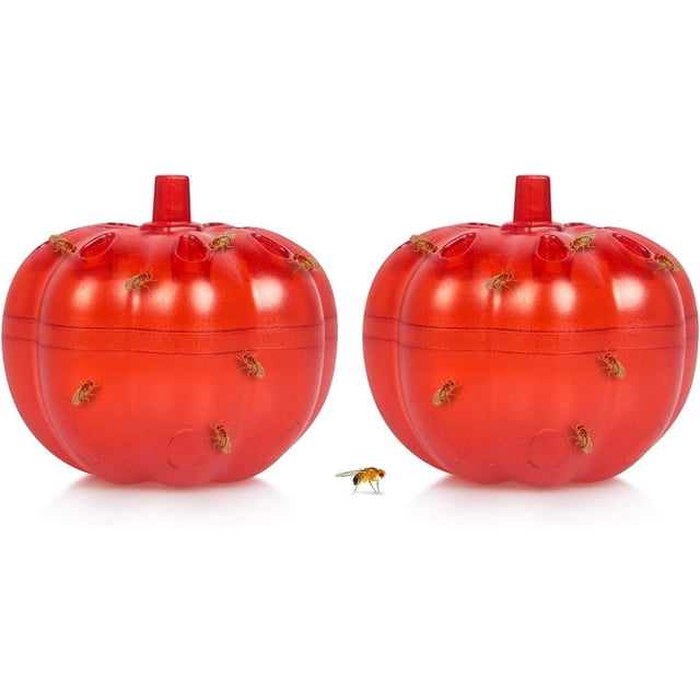 Paquete de 2 trampas para moscas de la fruta en interiores, trampa para matar moscas para interiores/cocinas, trampas para moscas para el hogar (sin atrayentes)