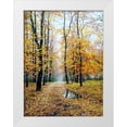 thumbnail image 1 of Cernov, Ivan 15x18 White Modern Wood Framed Museum Art Print Titled - When Autumn plays with you, 1 of 4