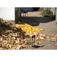 thumbnail image 3 of Catrina Mexican Products Corn Husks, 5 Count, 5 Lbs, Non-GMO, Gluten-Free, 3 of 3