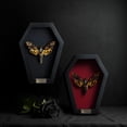 thumbnail image 5 of Black Frame Shadow Box Butterfly Moth, Gothic Insect Inspired Wall Art, Dark Aesthetic Home Decor, Framed Display for Curiosity Cabinet CF18-01-DE-MT, 5 of 6