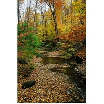 Trademark Art "Autumn Stream" Canvas Art by Kurt Shaffer, 16x24
