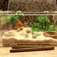 thumbnail image 6 of Aquarium Plastic Artificial Fish for Decorations Aquatic Underwater Green Grass Coconut Trees with Ba, 6 of 7