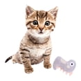 thumbnail image 3 of 2 piezas Catnip Toys Animal Cat Kitten Interactive Pets Kitty Chew Bite Supplies dinosaurio Yuyangstore Juguetes de hierba gatera, 3 of 8