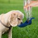 thumbnail image 2 of Botella de agua portátil para perros, botella de bebida plegable con tazón, ducha de mano para caminar, 2 of 5