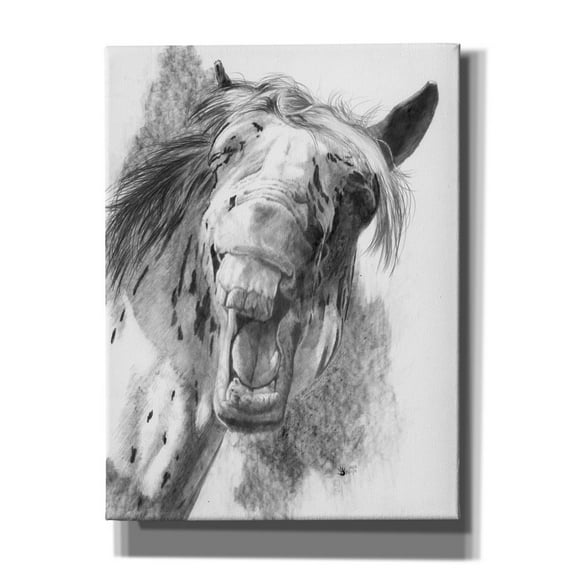 Epic Graffiti 'The Critic' by Barbara Keith, Canvas Wall Art, 12"x16"