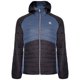 thumbnail image 1 of Dare 2B - Chaqueta Acolchada Mountaineer II para Hombre (Negro, Orión) Dare 2B UTRG8139_blackorion, 1 of 3