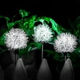 thumbnail image 1 of Luces solares para jardín al aire libre, luces LED de bola de diente de león, luces de bola de diente de león impermeables con energía solar, luz LED para camino de césped de jardín al aire libre para, 1 of 5