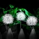 thumbnail image 1 of Luces solares para jardín al aire libre, luces LED de bola de diente de león, luces de bola de diente de león impermeables con energía solar, luz LED para camino de césped de jardín al aire libre para, 1 of 5