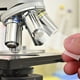 thumbnail image 2 of 1 juego de portaobjetos y cubreobjetos para microscopio, portaobjetos de vidrio óptico para laboratorio, biología, análisis médico y botánico, observación clara de muestras, fácil de usar y almacenar, 2 of 6
