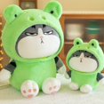 thumbnail image 4 of Juguete de Peluche cerdo Rana Panda gato Tabby muñeco blando con capucha Jinlin, 4 of 5