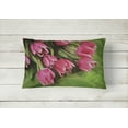 thumbnail image 2 of Carolines Treasures APH5048PW1216 Coussin Décoratif en Tissu de Tulipes Roses, 2 of 3